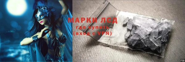 сатива Ельня
