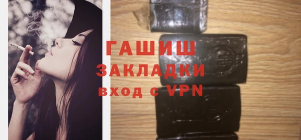 сатива Ельня