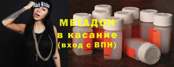 сатива Ельня