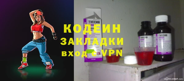 сатива Ельня