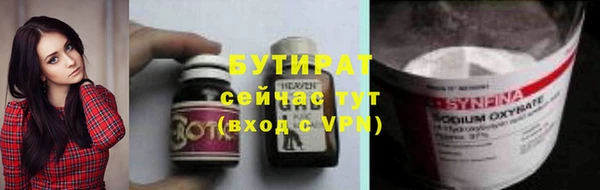 сатива Ельня