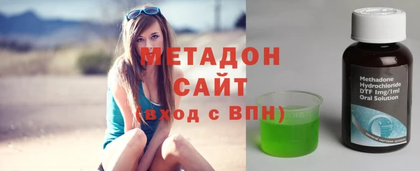 сатива Ельня