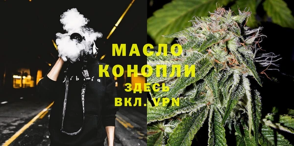 сатива Ельня