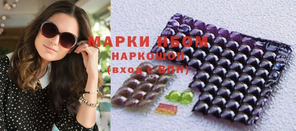 сатива Ельня