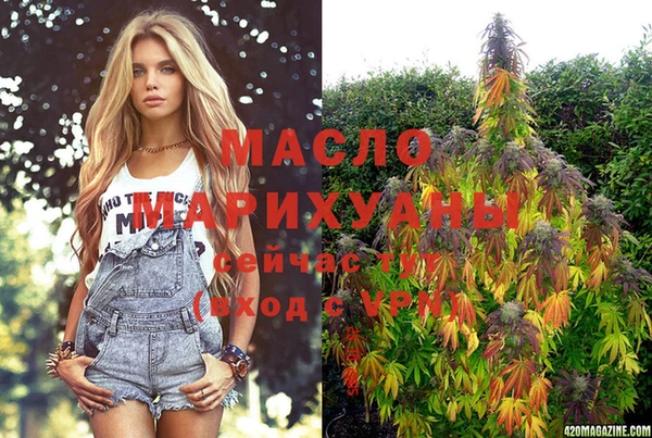 сатива Ельня